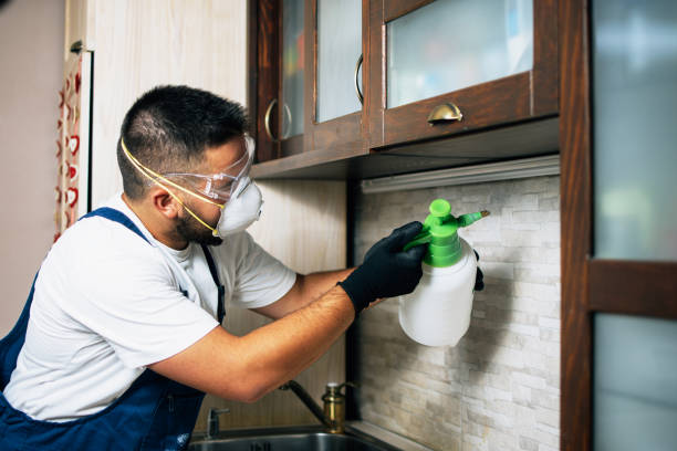Best Pest Removal Services  in Leetsdale, PA