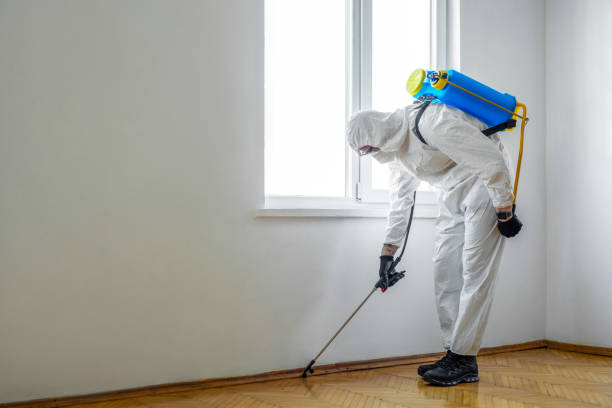 Professional Pest Control in Leetsdale, PA