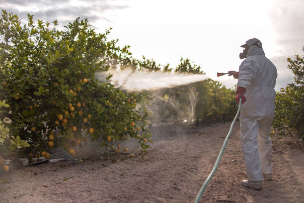 Best Pest Removal Services  in Leetsdale, PA