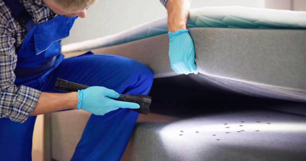 Best Best Pest Control Companies  in Leetsdale, PA