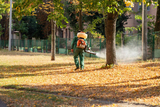 Best Mosquito Control Services  in Leetsdale, PA